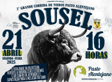 Corrida de beneficência em Sousel